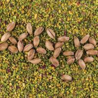 اسید بوریک برای پسته