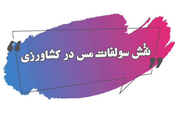 نقش سولفات مس در کشاورزی