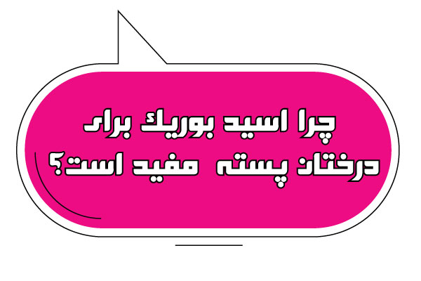 اهمیت اسید بوریک