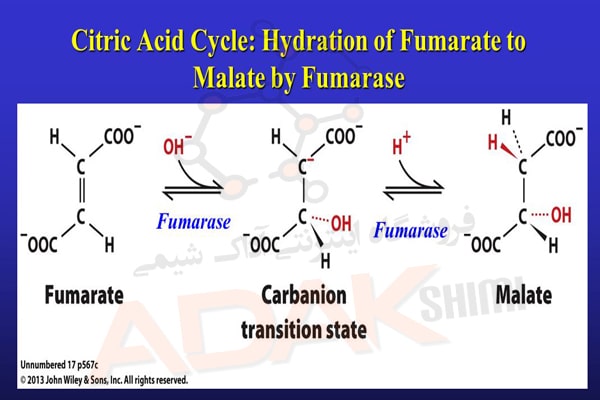 فرمول و مراحل تولید اسید سیتریک