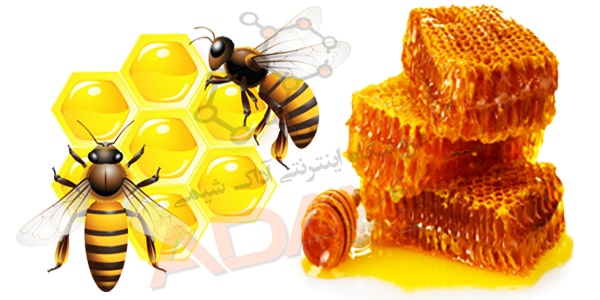 نقش اگزالیک اسید در زنبور داری